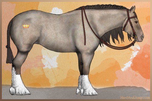Horse Color:Classic Champagne Roan 