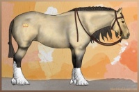 Horse Color:Buckskin Roan 