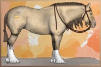 Horse Color:White Spotted Amber Cream Champagne Roan Rabicano