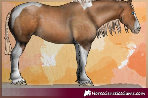 Horse Color:Gray Chocolate Palomino Pearl Tobiano 