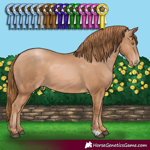 Horse Color:Chestnut Pearl