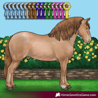 Horse Color:Chestnut Pearl 