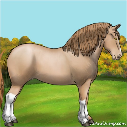 Horse Color:Chestnut Pearl