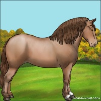 Horse Color:Brown Pearl