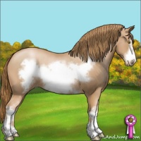 Horse Color:White Spotted Chestnut Pearl Frame 