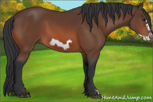 Horse Color:Brown Frame 