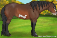 Horse Color:Brown Frame 