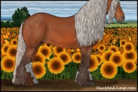 Horse Color:Silver Bay 