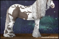 Horse Color:Silver Black Splash Tobiano 