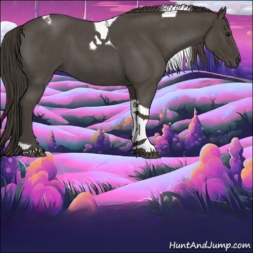 Horse Color:Smoky Blue Roan Tobiano 