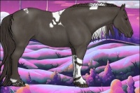Horse Color:Smoky Blue Roan Tobiano 