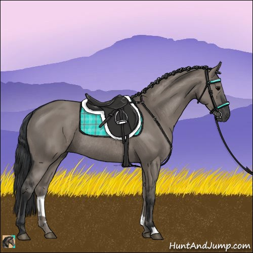 Horse Color:Grullo Rabicano 