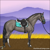 Horse Color:Grullo Rabicano 