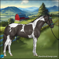 Horse Color:Smoky Black Tobiano 