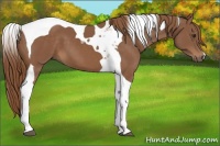 Horse Color:Chestnut Tobiano 