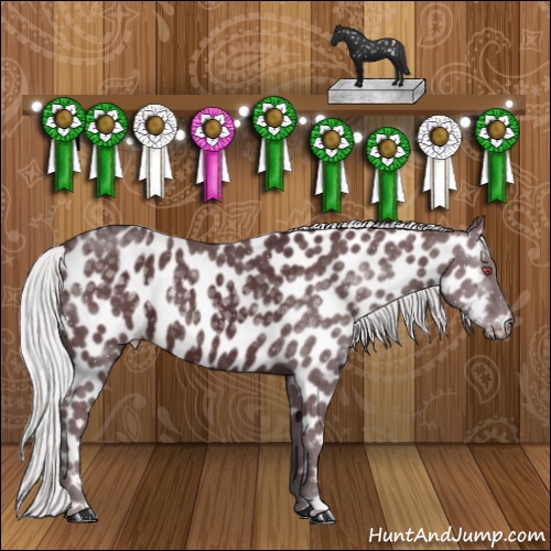 Horse Color:Chocolate Silver Black Chinchilla Appaloosa