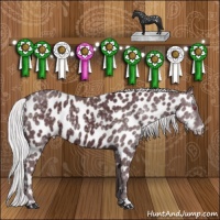 Horse Color:Chocolate Silver Black Chinchilla Appaloosa