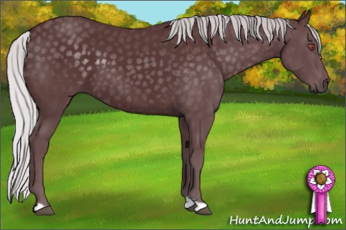 Horse Color:Chocolate Silver Black Chinchilla 