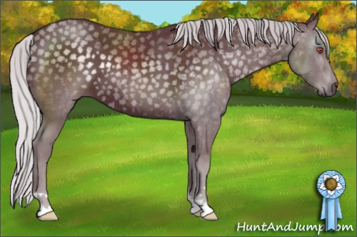 Horse Color:Chocolate Silver Black Chinchilla 