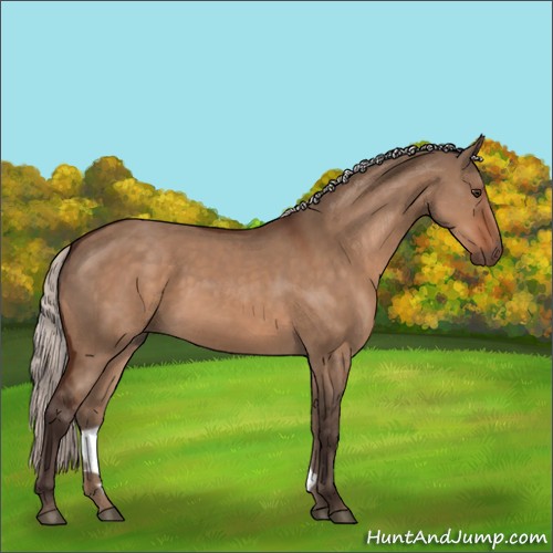 Horse Color:Silver Brown Dun 