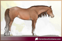 Horse Color:Brown Pearl 