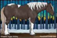 Horse Color:Gray Silver Black Tobiano Rabicano 