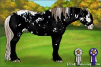 Horse Color:Black Ice Pearl Sabino 