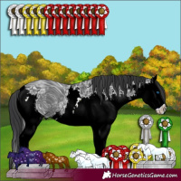 Horse Color:ERROR: UNKNOWN ANOMALY