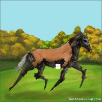 Horse Color:Silver Bay 