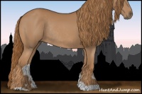 Horse Color:Chestnut Rabicano 