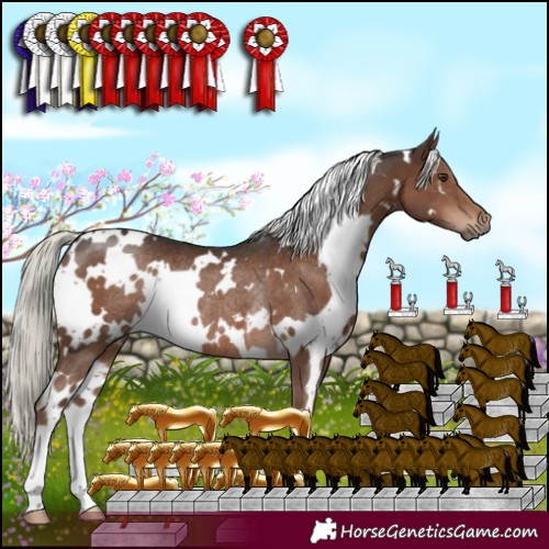Horse Color:White Spotted Liver Chestnut Mushroom Rabicano