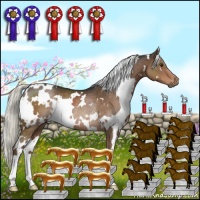 Horse Color:White Spotted Liver Chestnut Rabicano 