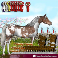Horse Color:White Spotted Liver Chestnut Mushroom Rabicano