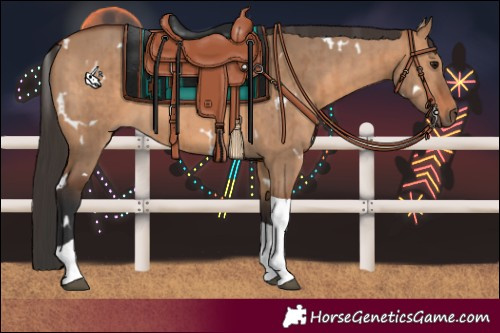 Horse Color:White Spotted Bay Dun Tobiano Brindle 