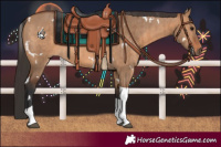 Horse Color:White Spotted Bay Dun Tobiano Brindle 