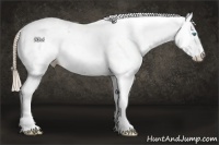 Horse Color:Perlino Fewspot