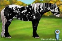 Horse Color:Liver Chestnut Ice Sabino 