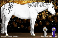 Horse Color:Black Appaloosa 