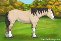 Horse Color:Bay Dun Splash 