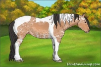 Horse Color:Bay Ice Tobiano