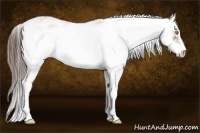 Horse Color:Liver Chestnut Sabino 