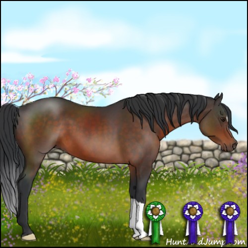 Horse Color:Brown 