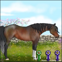 Horse Color:Brown 