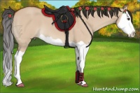 Horse Color:Bay Dun Splash 