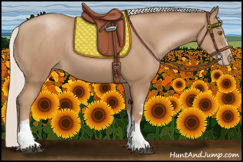 Horse Color:White Spotted Silver Black Pearl 