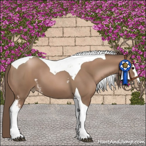 Horse Color:White Spotted Black Pearl Tobiano 