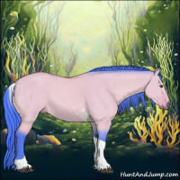 Horse Color:Watercolor Buckskin Dun Tobiano 