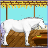 Horse Color:Watercolor Buckskin Dun Appaloosa 