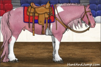 Horse Color:Watercolor Chestnut Tobiano Appaloosa