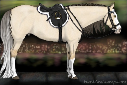 Horse Color:Buckskin Roan Dun Mushroom Splash 